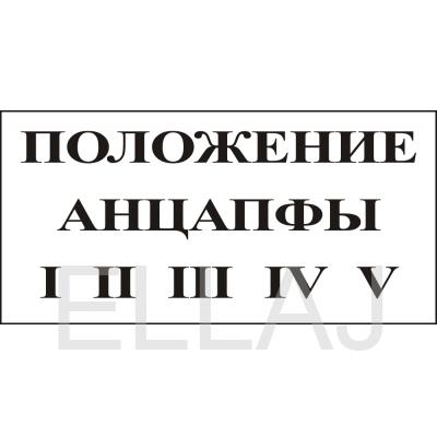 Табличка "Положение анцапфы" (пластик, 250х140 мм)