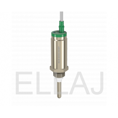 ДКЕ-С40-200С-3113-СА Датчик контроля уровня