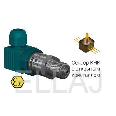 ПД100И модели 8х1-Exi датчик низкого давления для неагрессивных газов в исполнении EXI